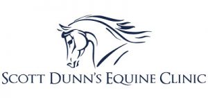 Scott Dunn's logo