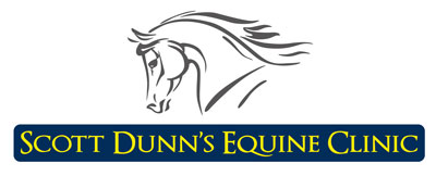 Scott Dunn’s Equine Clinic