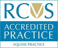 RCVS Equine Practice logo (small)